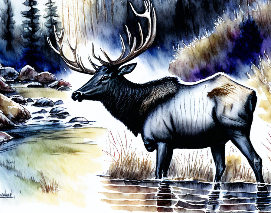 Majestic elk by stream in forest - vibrant watercolor art