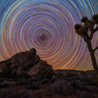 Enchanted forest with towering trees under starry sky