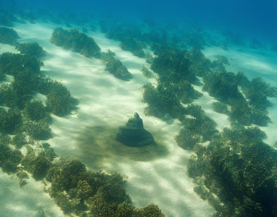 Sunken tank with marine life and coral formations in underwater view