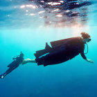 Sunken ship exploration with diver in underwater scene