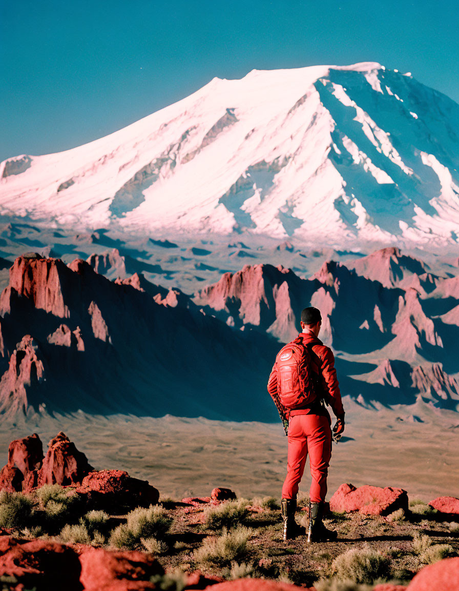 Person in red outfit on rocky terrain admiring snow-capped mountain.