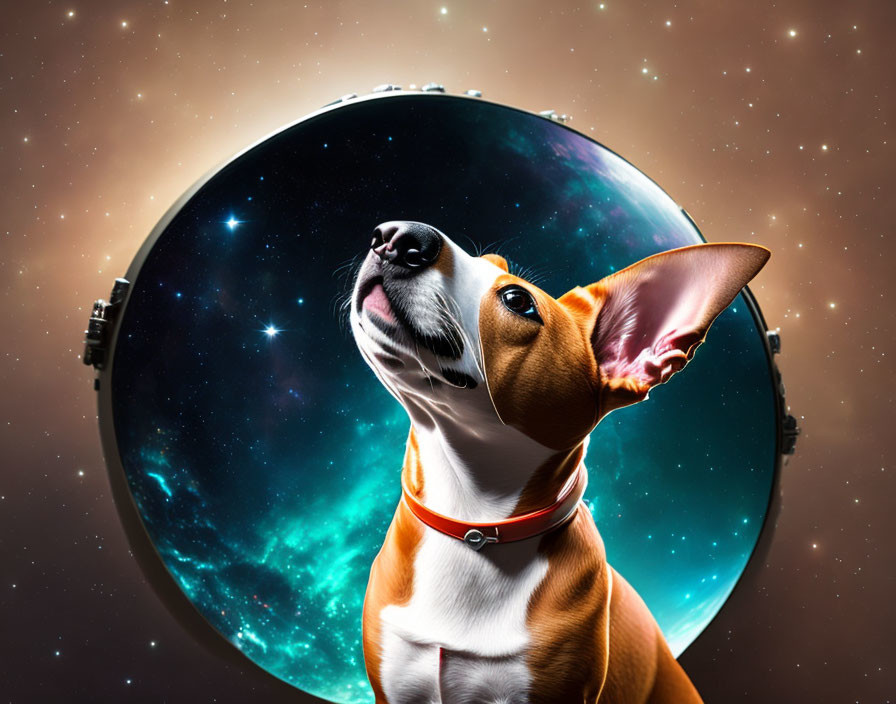 Whimsical dog with large ears and astronaut helmet visor reflecting starry galaxy