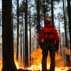 Firefighter with axe in forest fire amid burning trees and embers.