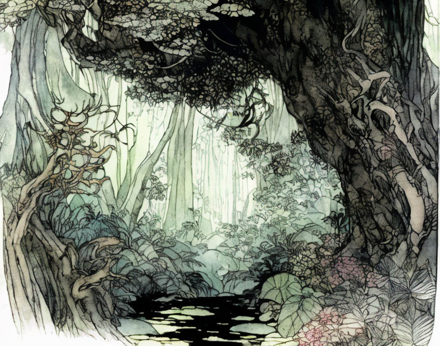 Detailed illustration: Enchanted forest with dense foliage, twisted trees, small creek.