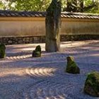 Minimalistic Zen garden with shaped stones, trimmed plants, and wooden fence