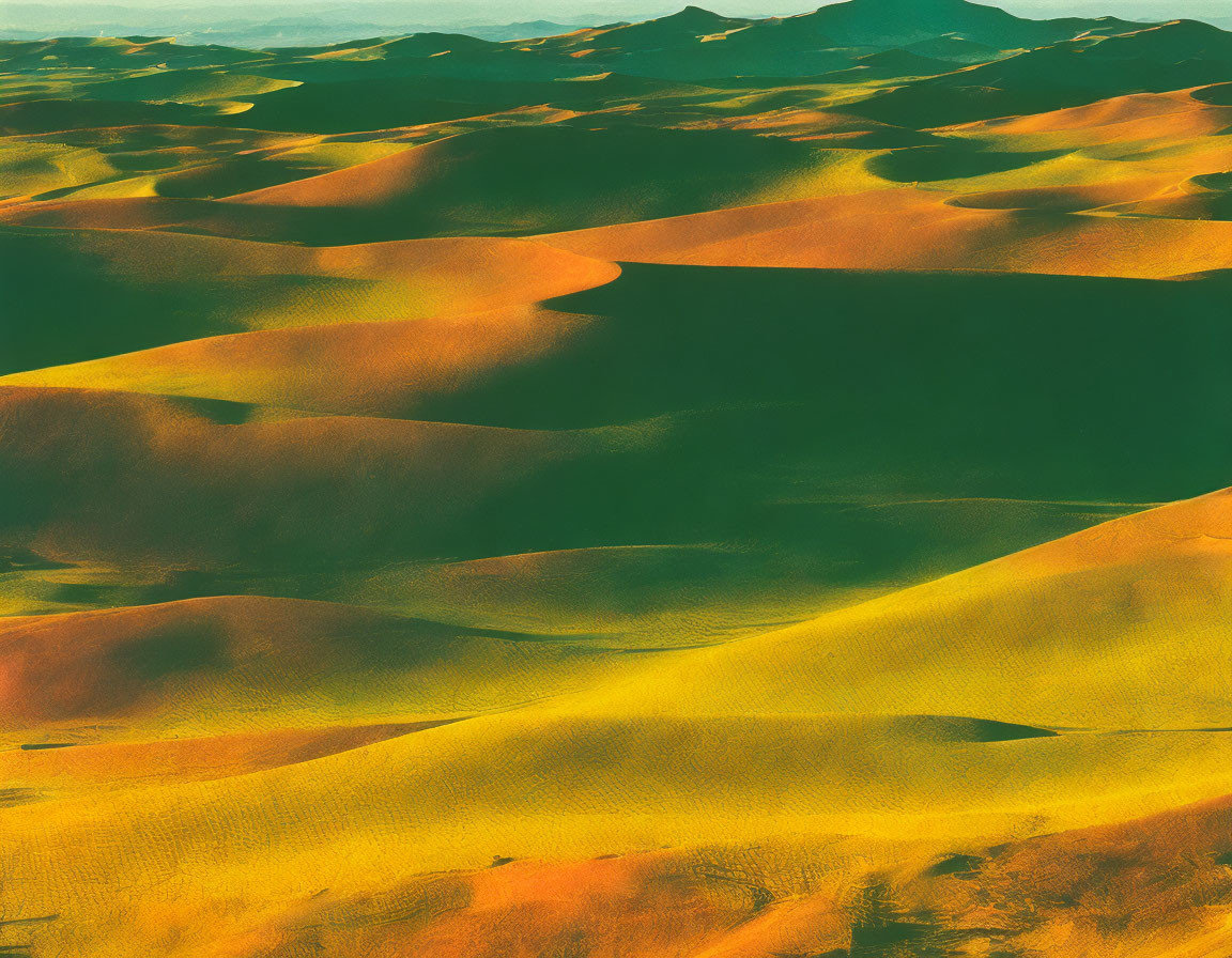 Warm Sunlight Illuminates Undulating Sand Dunes