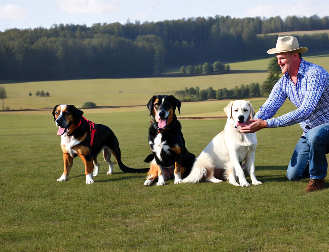 Cowboy hat man with three dogs on leads in grassy field