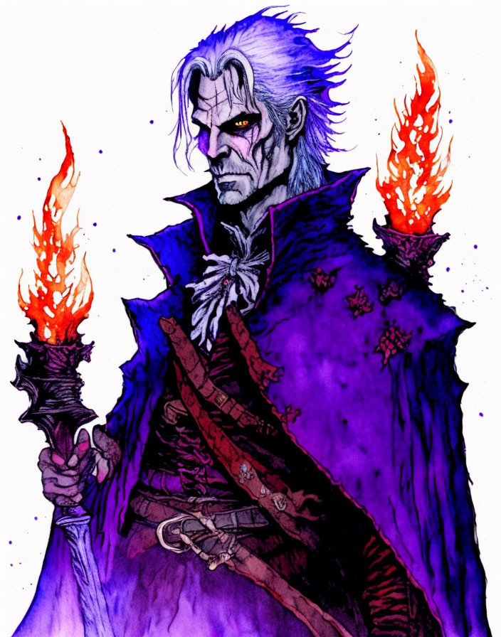 Detailed Drawing: Male Character with Grey Hair, Yellow Eyes, Goatee, Purple Cloak, and