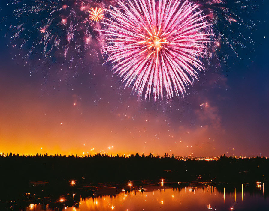 Colorful fireworks illuminate night sky over silhouetted trees and water with distant city lights.