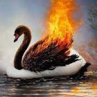 Swan on Water with Wings Ablaze Surrounded by Floating Fires