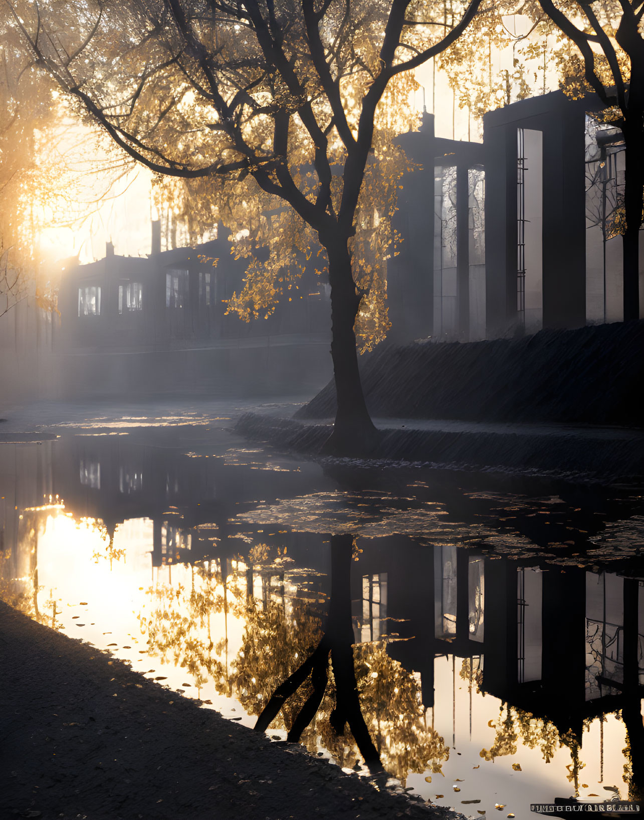 Tranquil Park at Dawn with Sunlight, Water Reflections, and Modern Structures