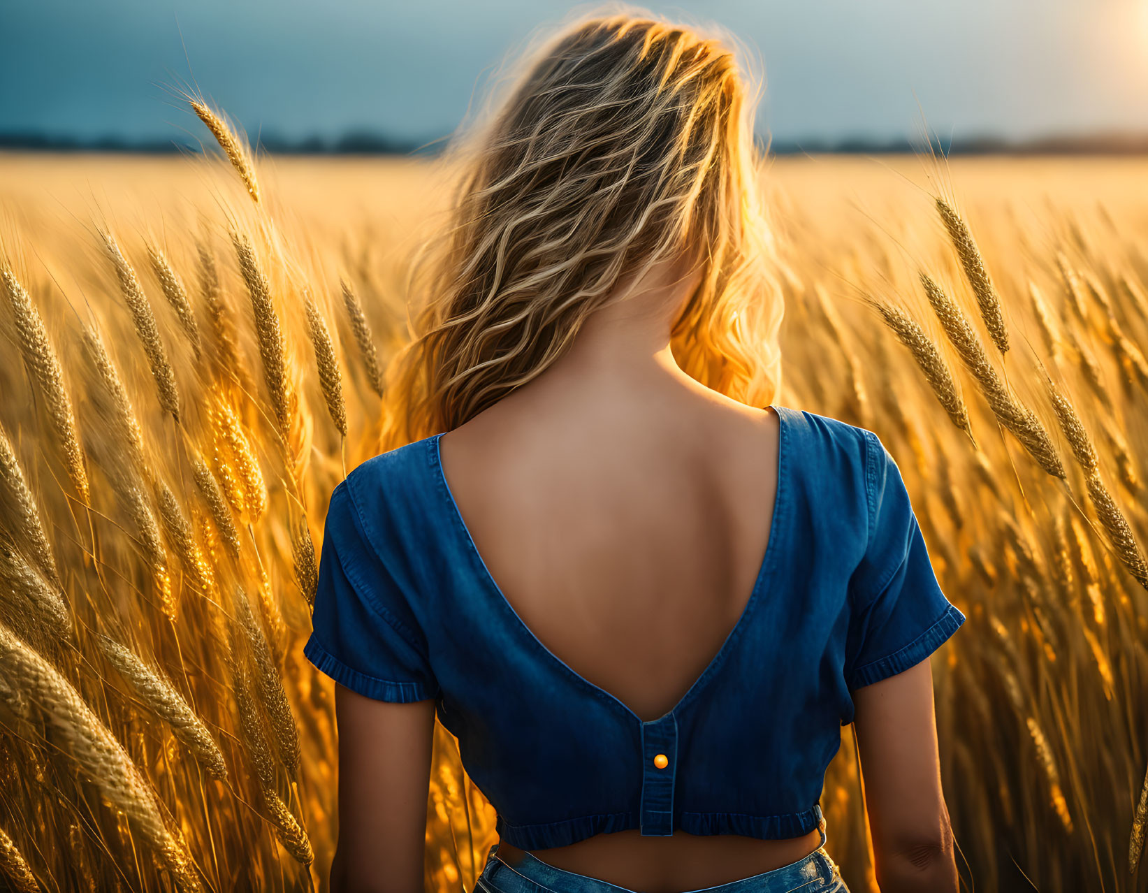 Woman with wavy hair in blue top in golden wheat field under warm sunlight