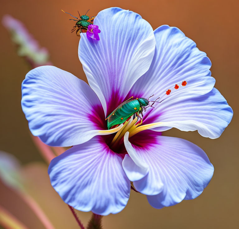 Blue Flower with Green Beetle and Fly Detail