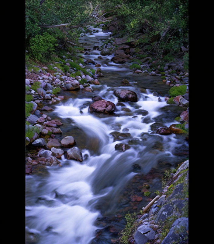 Tranquil stream with slow shutter speed captures smooth water flow