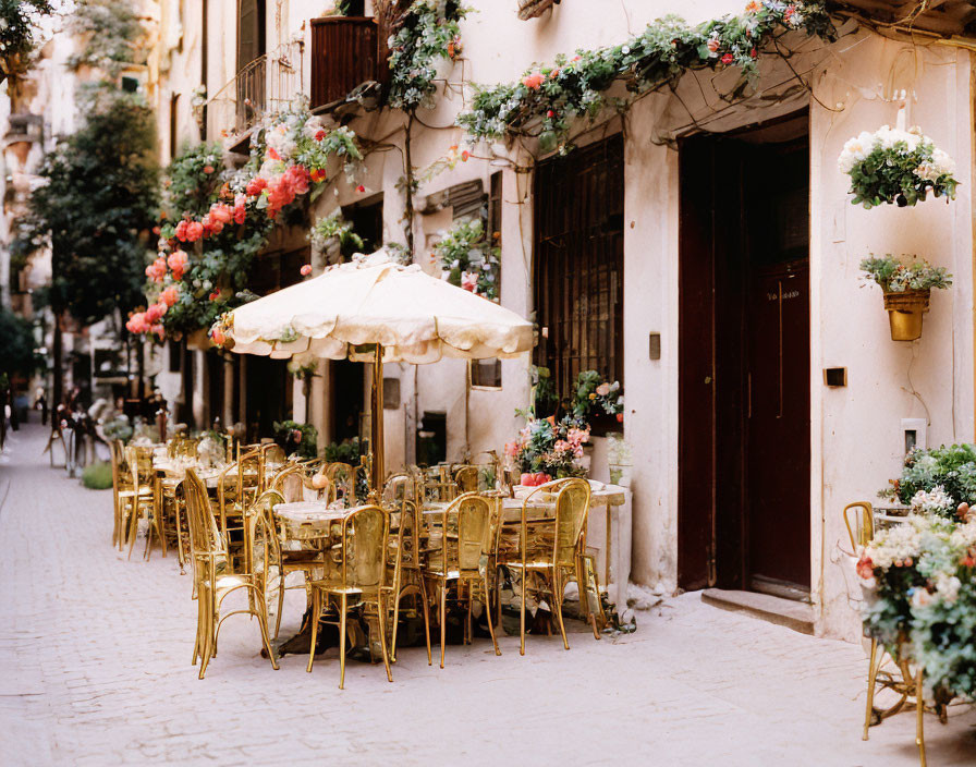 Empty golden chairs and tables at a serene street-side café with hanging plants and flowers