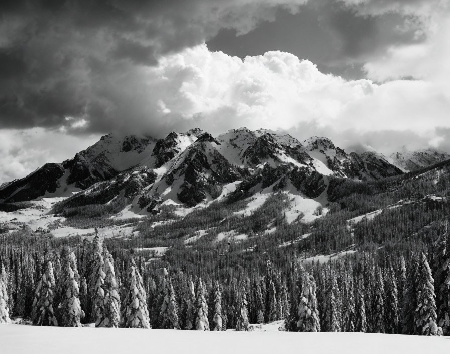 Majestic snow-covered mountains with dense forest and dramatic sky