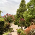 Stone Pathway Through Lush Garden to Ornate Building Amid Trees and Flowers