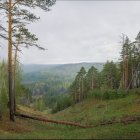 Serene Forest Scene with Sunbeams and Stream