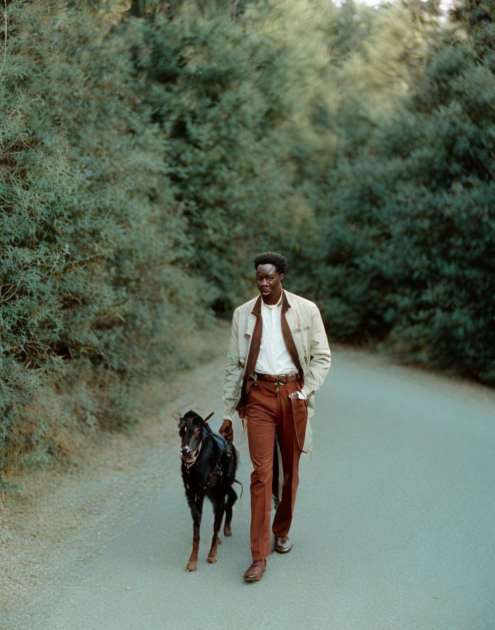 Stylish man walking dog on lush green pathway