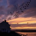 Vibrant sunset hues over house by water with bird silhouettes