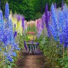 Colorful garden path with delphiniums and pink blooms, leading to wooden wheelbarrow