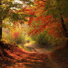 Sun-dappled autumn forest path in vibrant watercolor