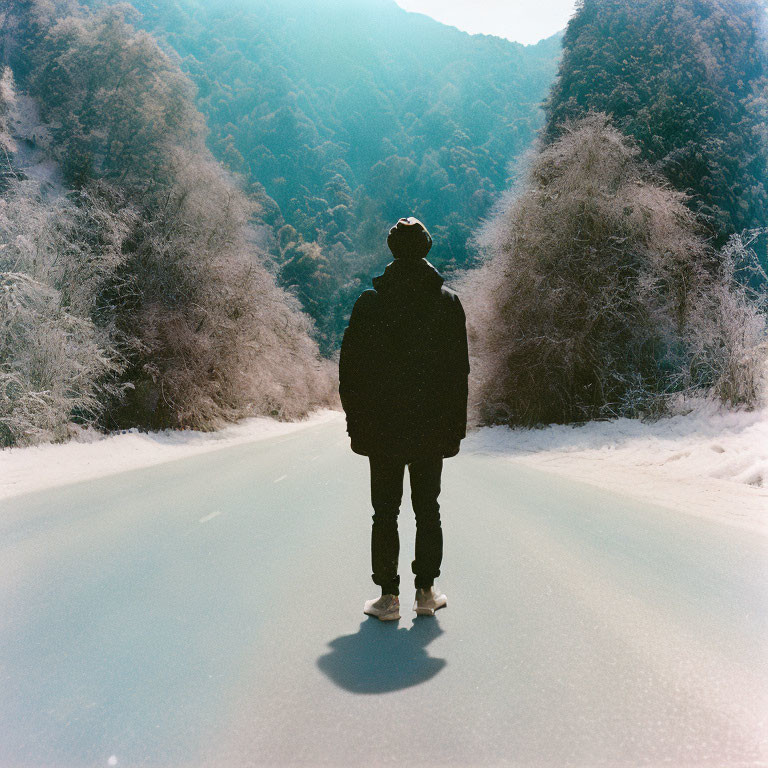 Person standing on snowy road surrounded by frost-covered trees under bright sky