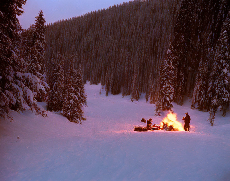 Group of People Around Campfire in Snowy Forest at Dusk