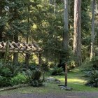 Enchanted forest with sunlight, wooden house, stream & vibrant flora