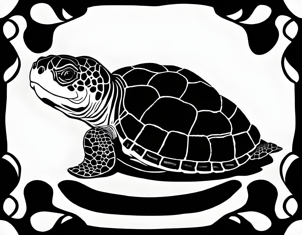 Monochrome turtle illustration with shell-patterned border