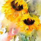 Sunflowers and pink flowers in watercolor painting