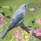 Colorful Bird Illustration Perched on Branch with Floral Background