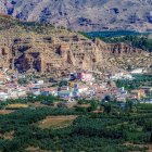 Colorful Village with Quaint Houses and Lush Gardens