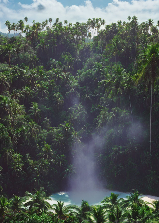 Tropical Rainforest with Palm Trees and Misty Pond