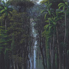 Tropical Rainforest with Palm Trees and Misty Pond