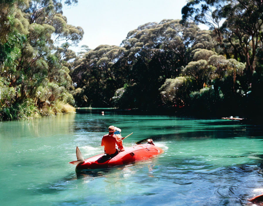 Kayaker in serene river with lush greenery on sunny day