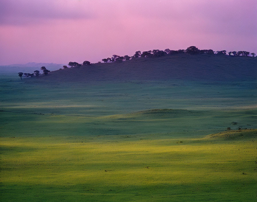 Tranquil Dusk Landscape with Green Hills and Silhouetted Trees