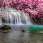 Tranquil Waterfall with Pink Cherry Blossoms and Moss-Covered Rocks