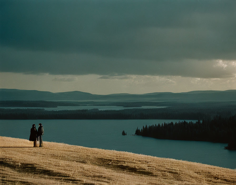 People on hill overlooking lake and forest under moody sky