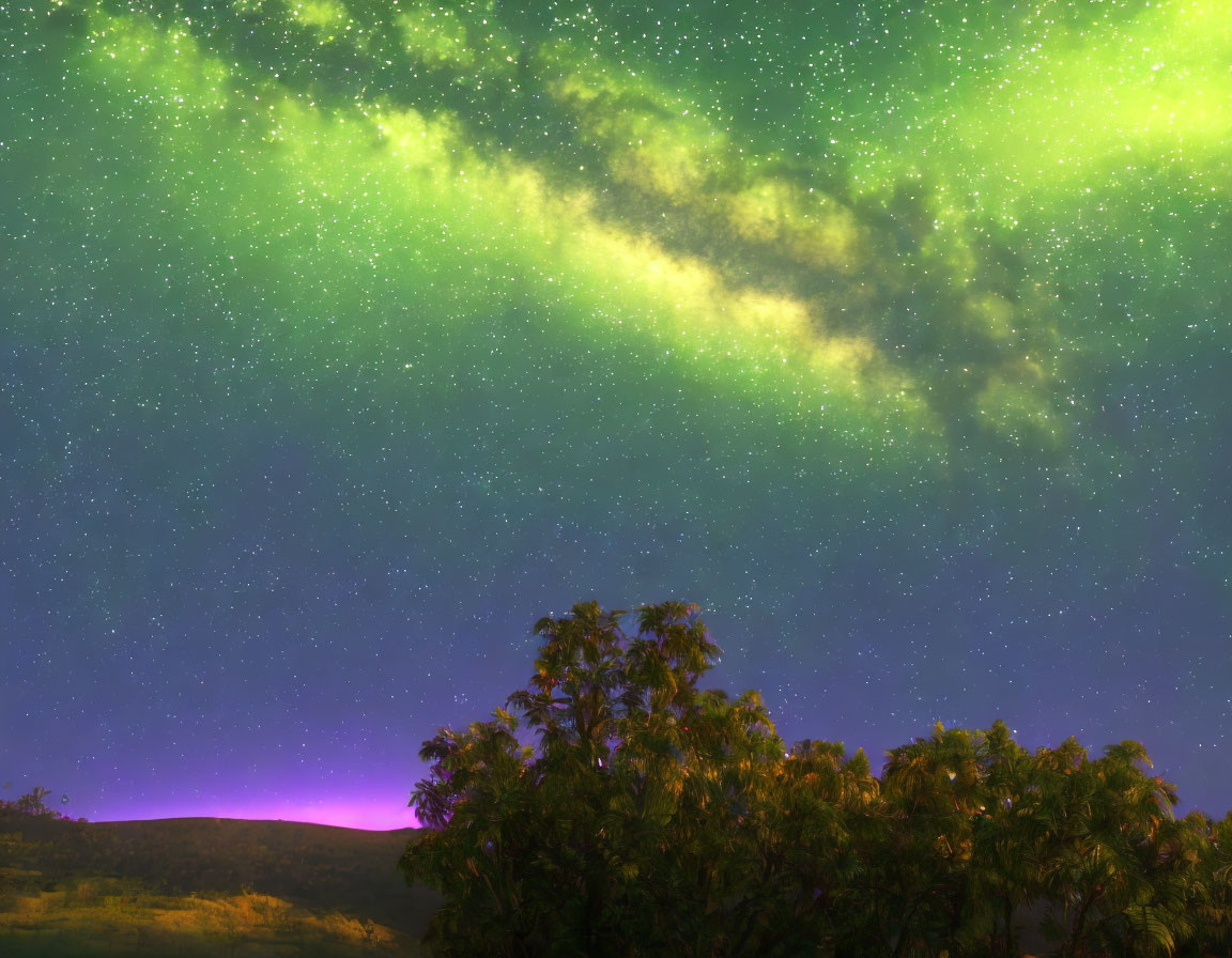 Starry night sky with green aurora over treetops