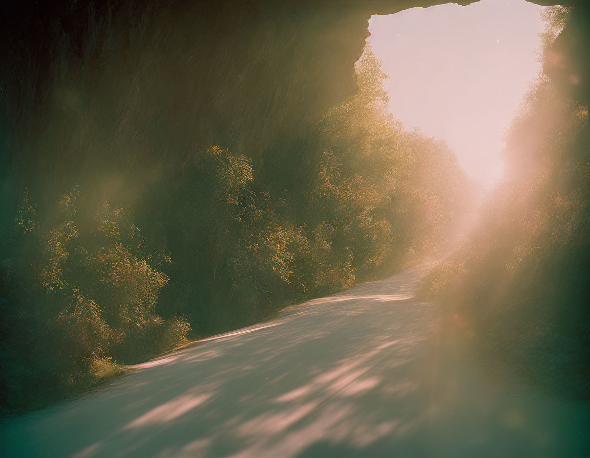 Misty forest path with sunbeams through cave opening