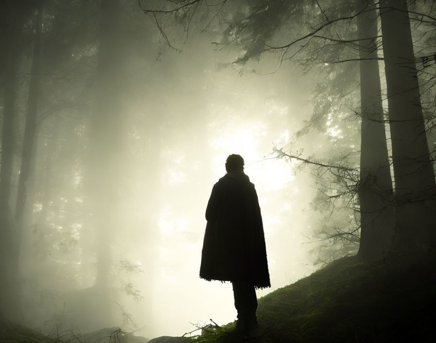 Silhouette of person in misty forest with sunbeams