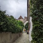 Medieval village with cobblestone path, ivy-clad buildings, and castle spires