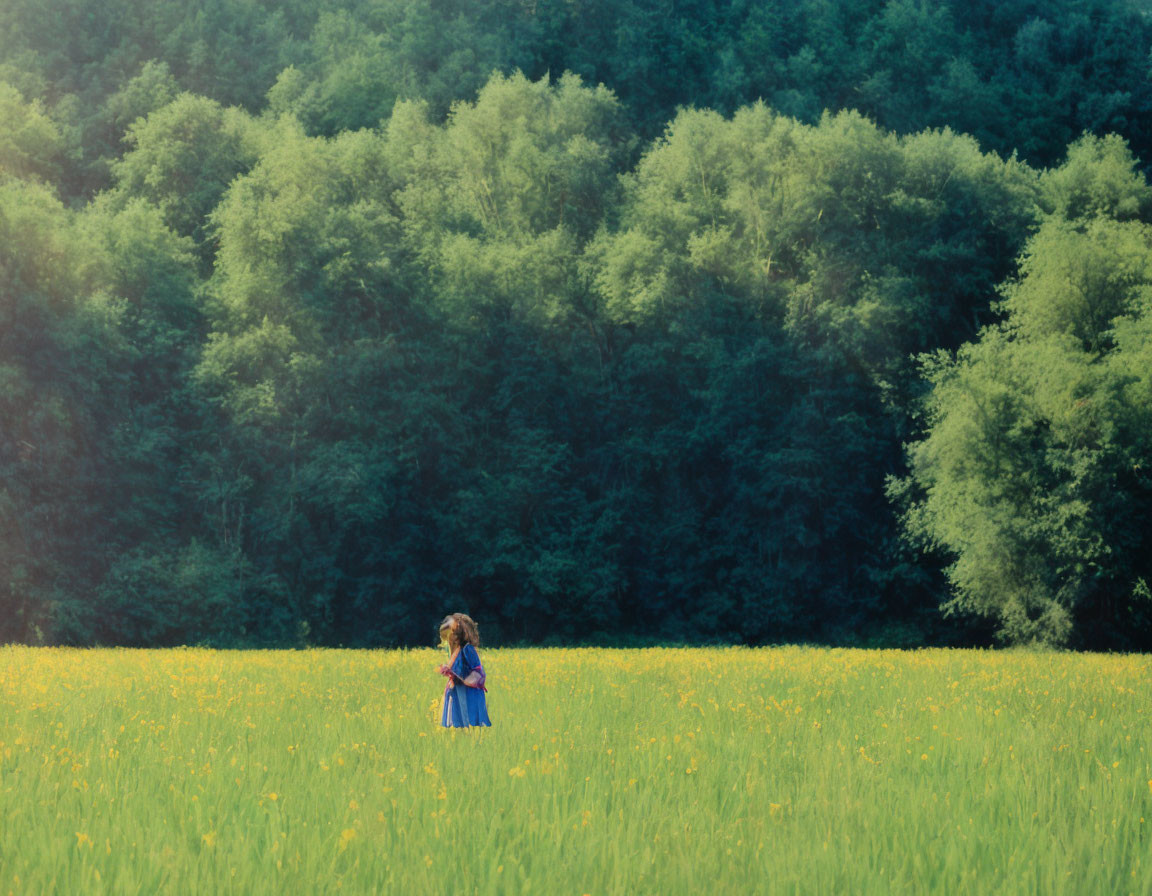 Child in blue dress in sunny meadow with yellow flowers and green forest.