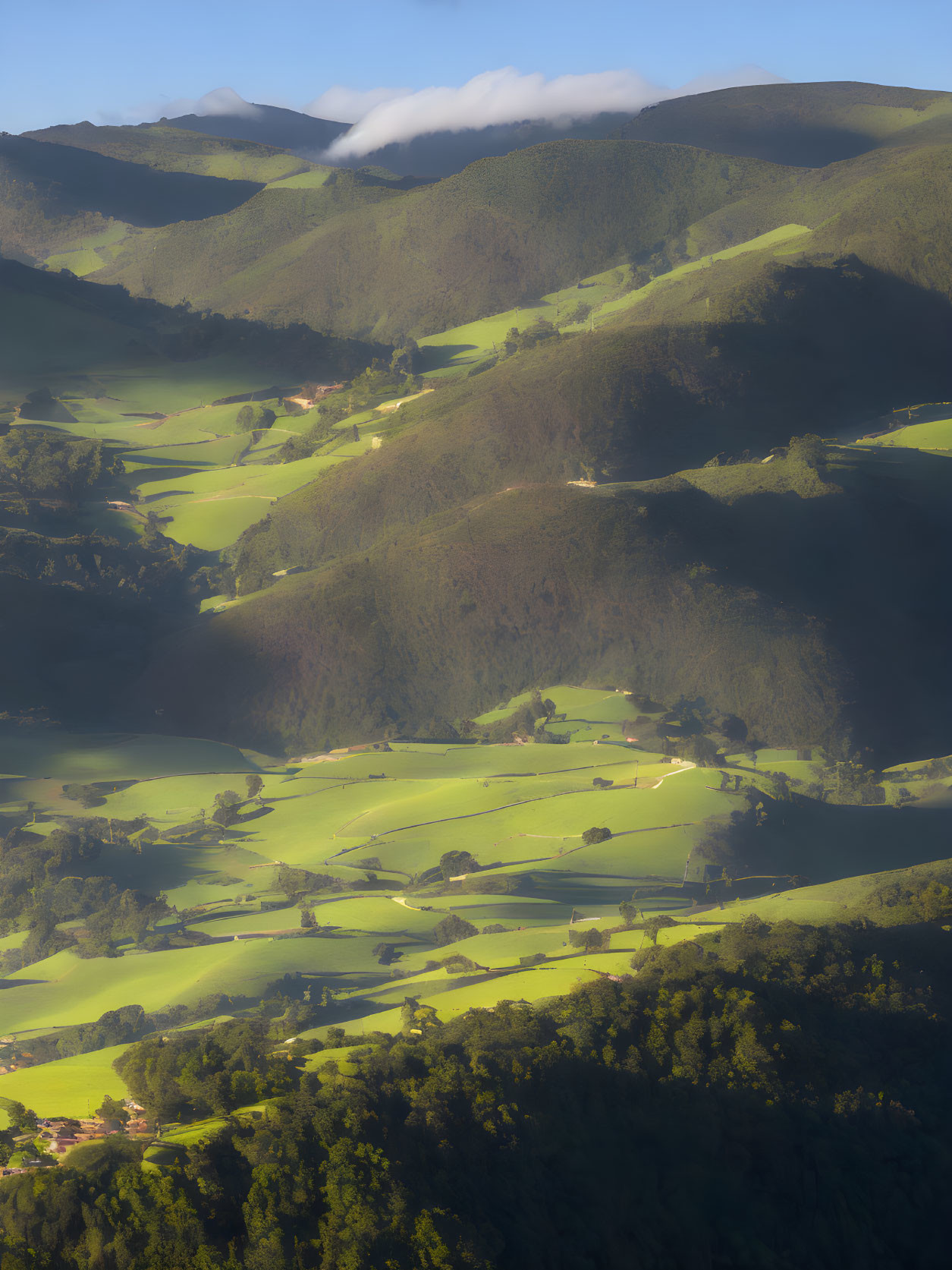 Rolling green hills, scattered trees, sunlight pockets, misty mountains.