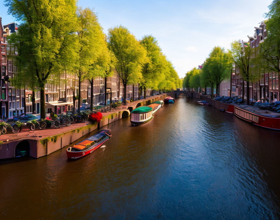 Scenic Amsterdam canal with trees, buildings, boats, and bicycles