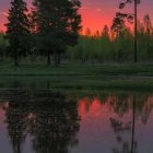 Tranquil sunset scene: tall trees, colorful sky, lush greenery