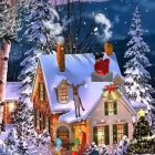 Snow-covered house with Christmas lights in winter scene