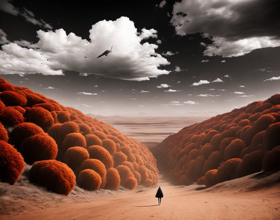 Person standing on sandy path between orange dome-shaped trees under dramatic sky with soaring bird