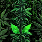 Green Cannabis Leaf Symbol in Futuristic Digital Interface